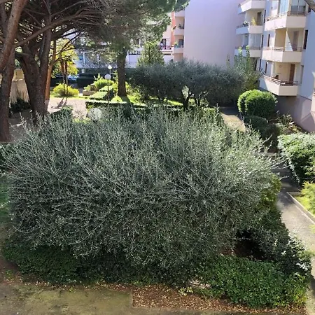 Apartamento Nautilus *