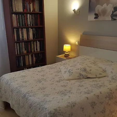 Nautilus * Saint-Raphaël