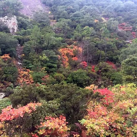 Nautilus * Saint-Raphaël